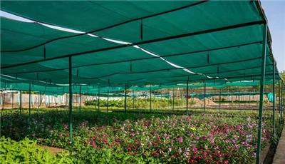 Agrikòl HDPE Shade Net