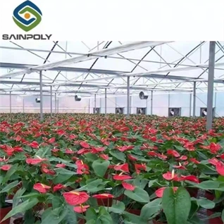 Legim Hydroponic Greenhouse