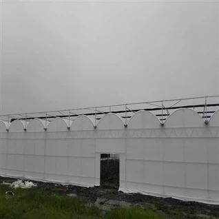 Blan Plastik Film Greenhouse